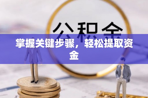 神农架掌握关键步骤，轻松提取资金