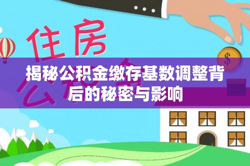 神农架揭秘公积金缴存基数调整背后的秘密与影响